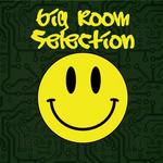 Big Room Selection
