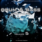 Drum & Bass Floor Fillers 2014 Vol 5