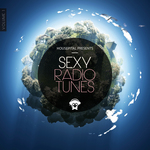 Sexy Radio Tunes Vol 1