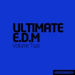 Ultimate Electronic Dance Music - Vol Two