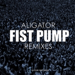 Fist Pump Remixes