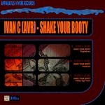 Shake Your Booty (remixes)