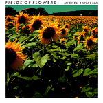 Fields Of Flowers