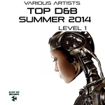 Top D&B Summer 2014 Level 1