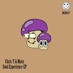 Soul Experience EP