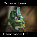 Feedback EP