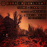 Burn In Sunlight (Explicit)