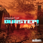 Straight Up Dubstep! Vol 12