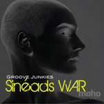 Sinead's War