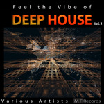 Feel The Vibe Of Deep House Vol 3