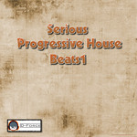 Serious Progressive House Beats Vol 1