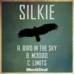 Bird In The Sky