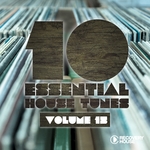 10 Essential House Tunes Vol 15