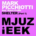 Shelter (remixes)