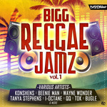 Bigg Reggae Jamz Vol 1