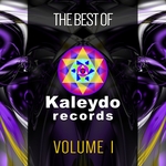 The Best Of Kaleydo Records Vol 1