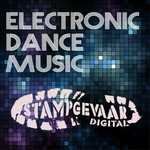 Electronic Dance Music Vol 12