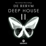 De Rerum Deep House Vol 2