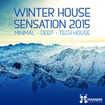 Winter House Sensation 2015 (The Best Minimal Deep & Tech House Compilation)