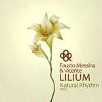 Lilium