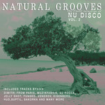 Natural Grooves Fines Selection Of Nu Disco Vol 2