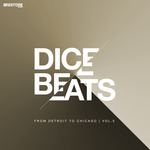 DICE BEATS From Detroit To Chicago Vol 5