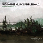 Audionumb Music Sampler Vol 2