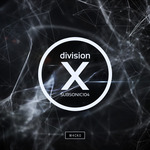 Division X