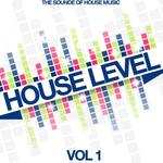 House Level Vol 1