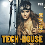 Tech House Sensation Vol 1: Groovy Dance Beats For Clubbers Only