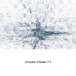 Principles Of House Vol 17
