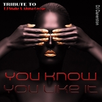 You Know You Like It (Tribute To DJ Snake & Aluna George)