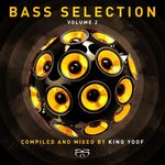 Bass Selection Vol 2 (unmixed tracks)