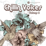 Chillin Voices Volume 3 Beautiful & Relaxing Vocal Lounge Music