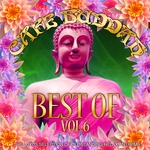 Cafe Buddah Best Of Vol 6 (The Luxus Selection Of Outstanding Relax Anthems)