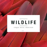 Wildlife (Unique Music Selection Vol 6)