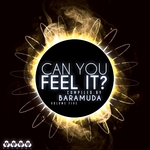 Can You Feel It? Vol 5 (Compiled By Baramuda)