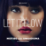 Let It Flow (remixes)