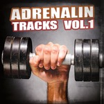 Adrenalin Tracks Vol 1 (EDM)