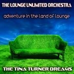 Adventure In The Land Of Lounge: The Tina Turner Dreams
