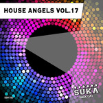House Angels Vol 17