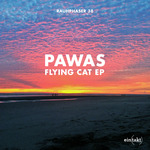Flying Cat EP