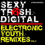 Electronic Youth (remixes Vol 1)