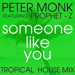 Someone Like You (Tropical House mix)