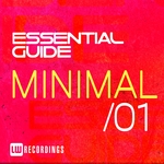 Essential Guide Minimal Vol 1
