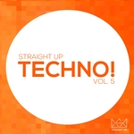 Straight Up Techno! Vol 5