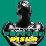Phuture Disko Vol 13 (Electronic & Discofied)