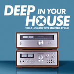 Deep In Your House Vol 5 (Classic Hits Selected By KnR)
