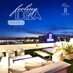 Feeling Ibiza Vol 3