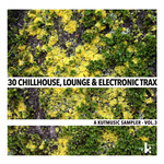 30 Chillhouse, Lounge & Electronic Trax (A Kutmusic Sampler Vol 3)
